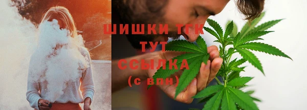 ECSTASY Богородицк