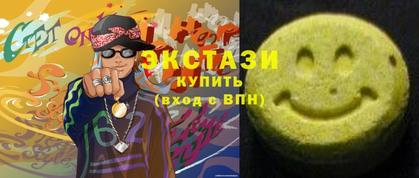 ECSTASY Богородицк